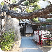 写真：神社